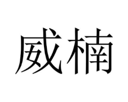 威楠商标原图 第25类服装鞋帽
