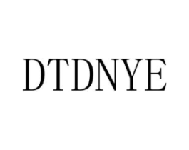 DTDNYE商标原图 第25类服装鞋帽