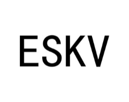 ESKV商标原图 第25类服装鞋帽