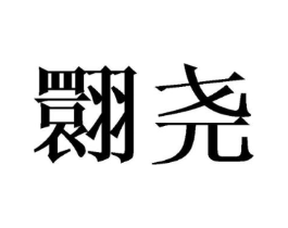翾尧商标原图 第25类服装鞋帽