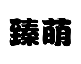 臻萌商标原图 第25类服装鞋帽