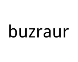 BUZRAUR商标原图 第25类服装鞋帽
