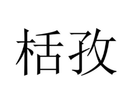 栝孜商标原图 第25类服装鞋帽