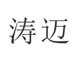 涛迈商标原图 第25类服装鞋帽