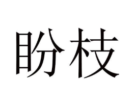盼枝商标原图 第25类服装鞋帽