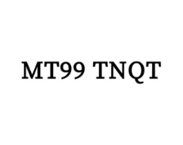 MT99 TNQT商标原图 第25类服装鞋帽