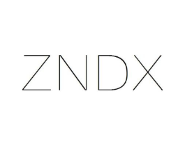 ZNDX商标原图 第25类服装鞋帽