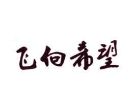 飞向希望商标原图 第25类服装鞋帽