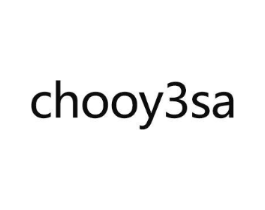 CHOOY3SA商标原图 第25类服装鞋帽
