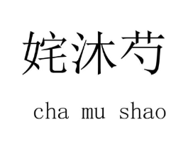 商标原图