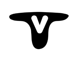 TV商标原图 第25类服装鞋帽