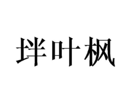 坢叶枫商标原图 第25类服装鞋帽