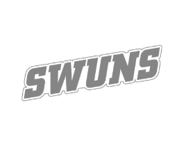 SWUNS商标原图 第25类服装鞋帽
