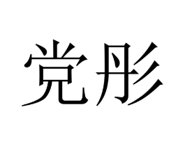 党彤商标原图 第25类服装鞋帽
