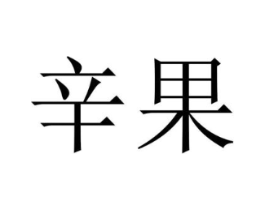 辛果商标原图 第25类服装鞋帽