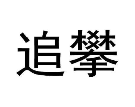 追攀商标原图 第25类服装鞋帽