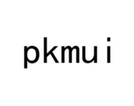 PKMUI商标原图 第25类服装鞋帽