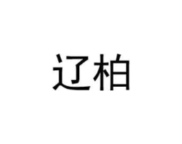 辽柏商标原图 第25类服装鞋帽
