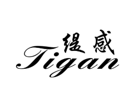 缇感商标原图 第25类服装鞋帽