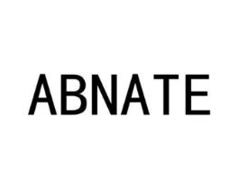 ABNATE商标原图 第25类服装鞋帽