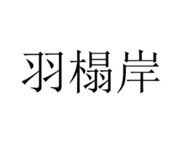 商标原图
