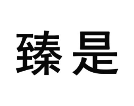 臻是商标原图 第25类服装鞋帽