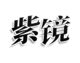 紫镜商标原图 第25类服装鞋帽