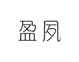 盈夙商标原图 第25类服装鞋帽