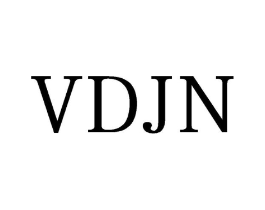 VDJN商标原图 第25类服装鞋帽