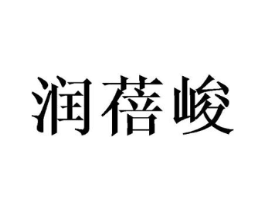 润蓓峻商标原图 第25类服装鞋帽