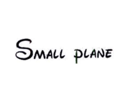 SMALL PLANE商标原图 第25类服装鞋帽