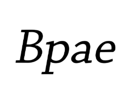 BPAE商标原图 第25类服装鞋帽