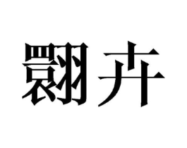 翾卉商标原图 第25类服装鞋帽