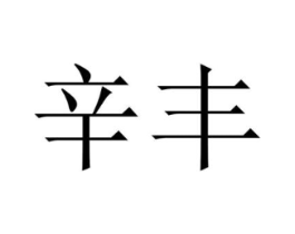 辛丰商标原图 第25类服装鞋帽