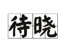 待晓商标原图 第25类服装鞋帽