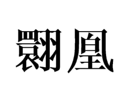 翾凰商标原图 第25类服装鞋帽