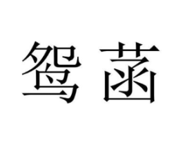 商标原图
