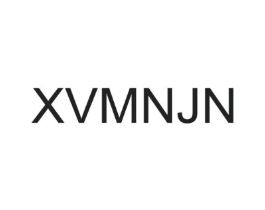 XVMNJN商标原图 第25类服装鞋帽