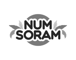NUM SORAM商标原图 第25类服装鞋帽