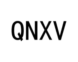 QNXV商标原图 第25类服装鞋帽