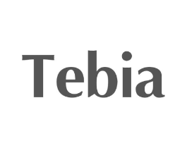 TEBIA商标原图 第25类服装鞋帽