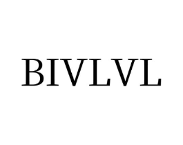 BIVLVL商标原图 第25类服装鞋帽