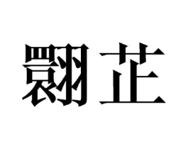 翾芷商标原图 第25类服装鞋帽