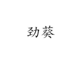 劲葵商标原图 第25类服装鞋帽