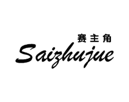 赛主角商标原图 第25类服装鞋帽