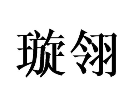 璇翎商标原图 第25类服装鞋帽