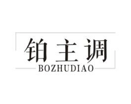 铂主调商标原图 第25类服装鞋帽