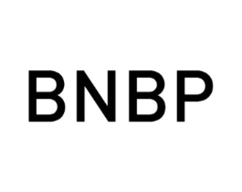 BNBP商标原图 第25类服装鞋帽
