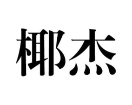 椰杰商标原图 第25类服装鞋帽