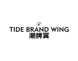 潮牌翼 TIDE BRAND WING商标原图 第25类服装鞋帽